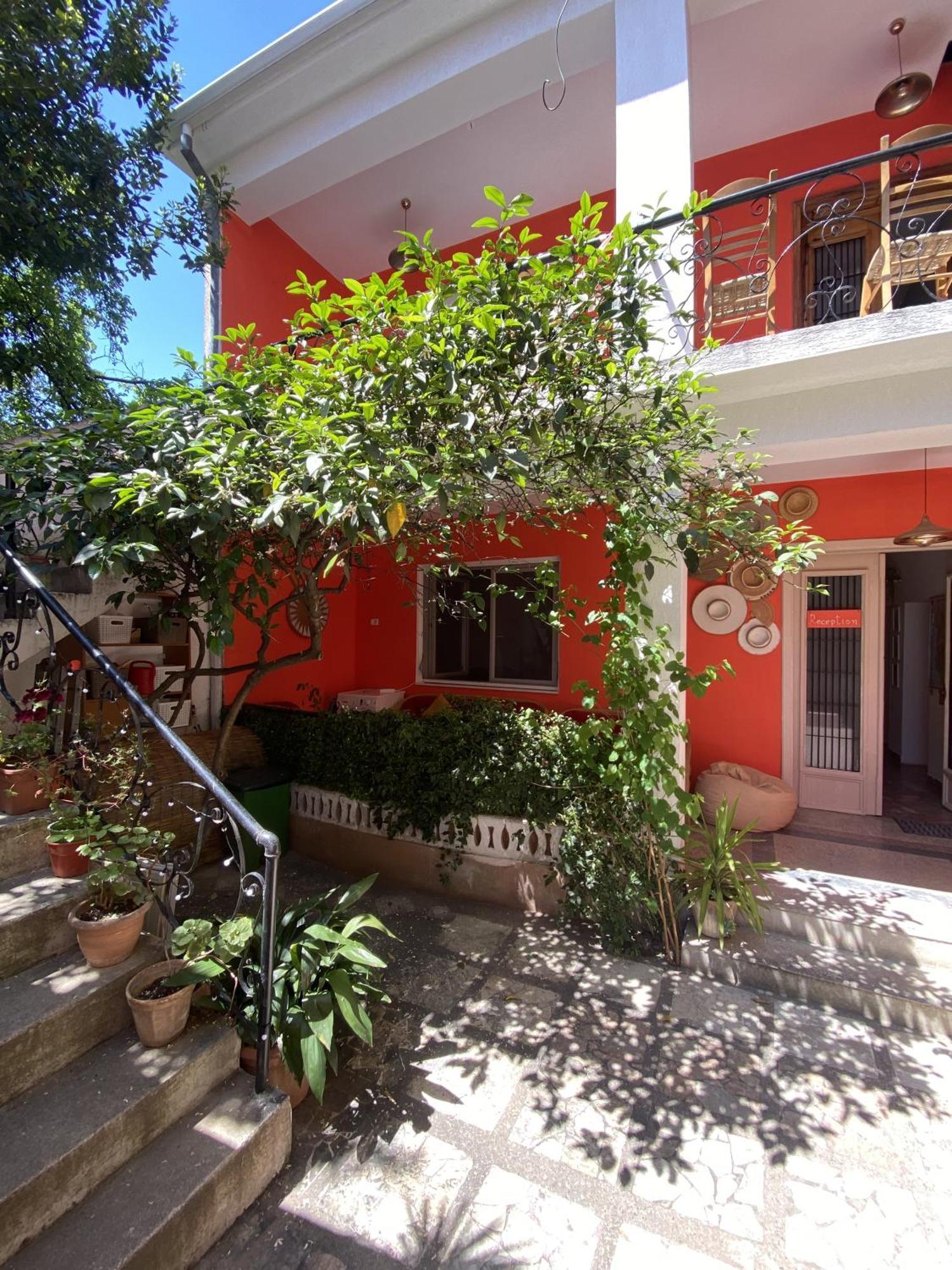 Trip'N'Hostel Chill Zone Tirana Kültér fotó
